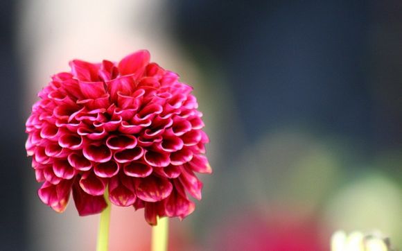 交流可调电源哪个好