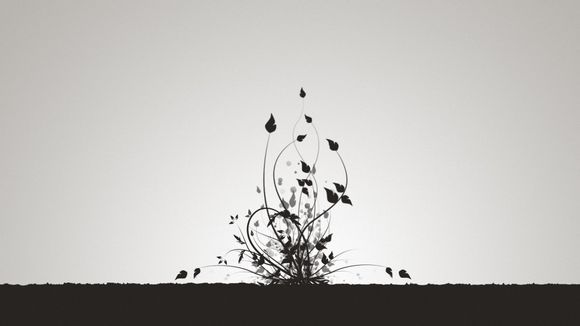 佛山照明led怎么样